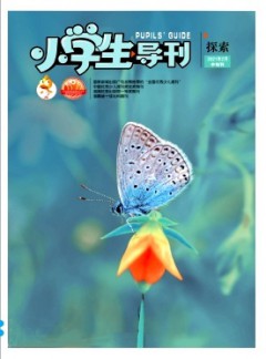 小学生导刊·中年级